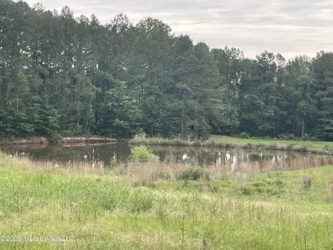 Residential Land in Pelahatchie, MS