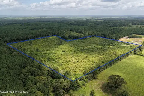 Rolling-Hill Hunting Land