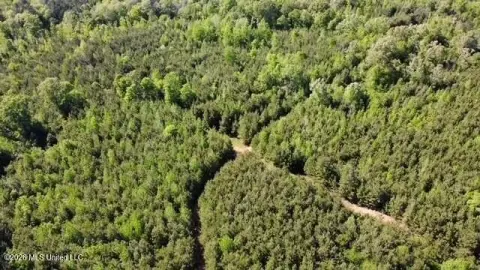 Secluded Acreage with Creek Access