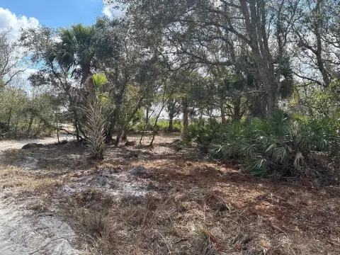 Okeechobee Wooded Acreage For Sale