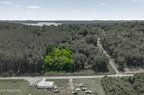 Wooded Residential Buildable Lot