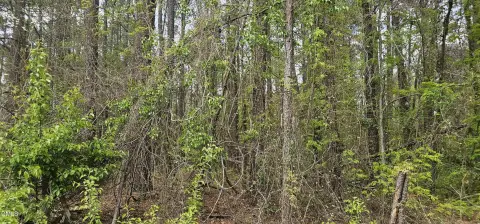 Durham Homesite: .46 Acres