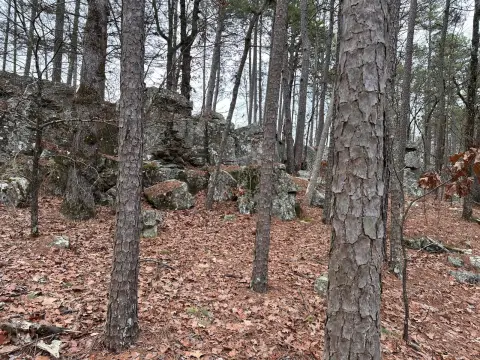 Remote Hunting Land Parcel