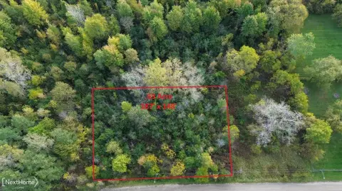 Vacant Land in Mt Morris