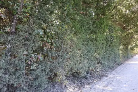 Secluded Wooded Land Near Bonham