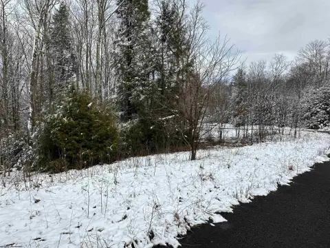 Residential Land Near Canaan Valley
