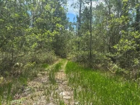 Hunting and Recreation Land