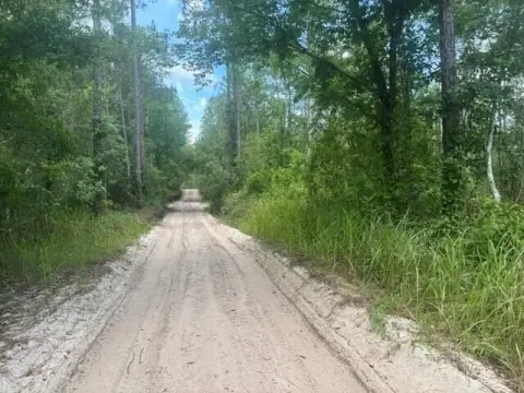 Non-Buildable Hunting Land