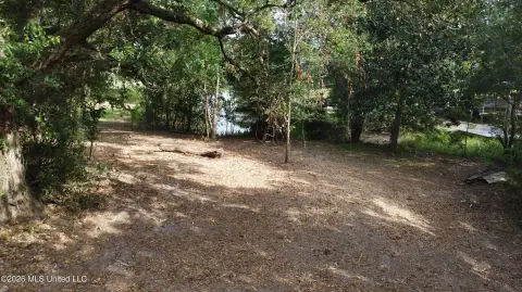 Cleared Waterfront Build Site