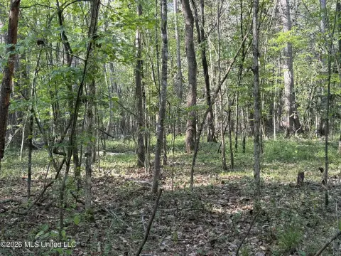 Rankin County Land For Sale