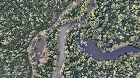 Hunting Land with Extensive Trail Network