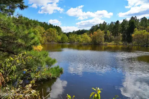 Improved Hunting Land
