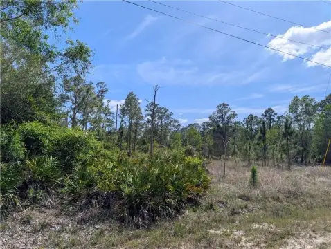 Residential Lot in Lehigh Acres