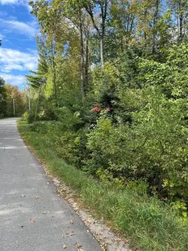 Charleston, Maine Wooded Lot