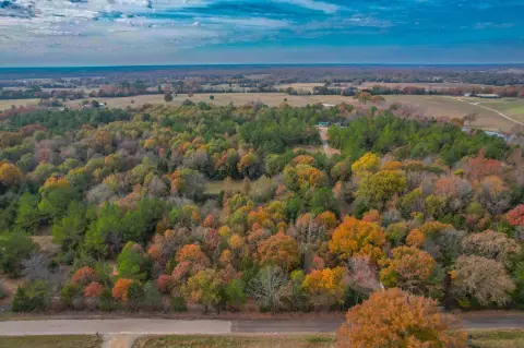 Hunting & Recreation Land