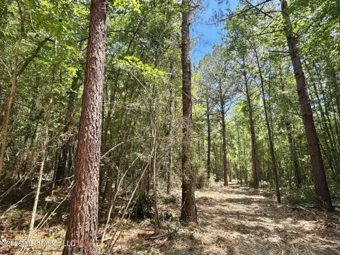 Recreation Land with Internal Trails