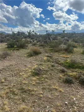 Commercial Land