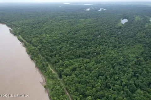 Waterfront Hunting Tract with Timber