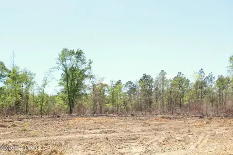 Lucedale Land in Growing Area