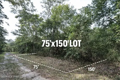 Ocean Springs Land Opportunity