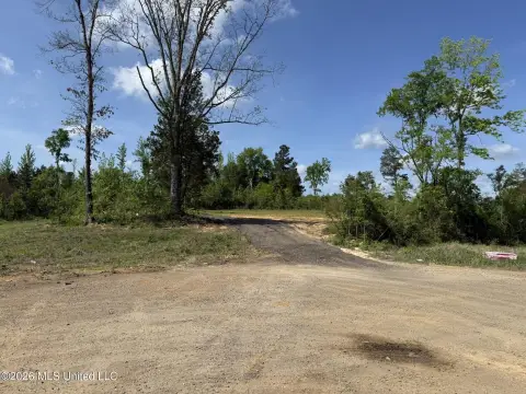 Residential Land in Holly Springs
