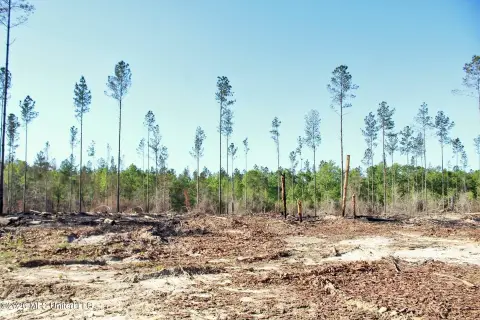 Lucedale Land in Growing Area