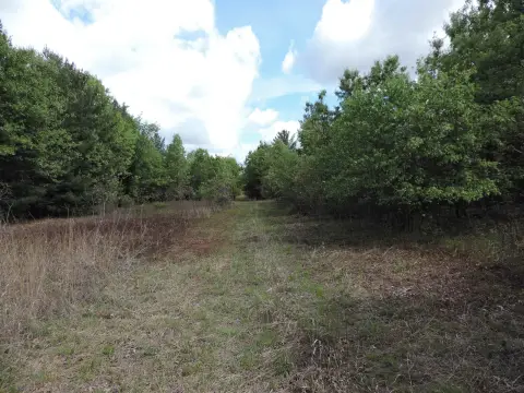 Wooded Acreage in Lone Rock