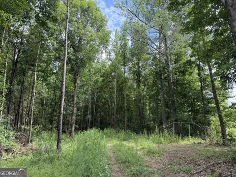 Wooded Hunting Land and Homesite