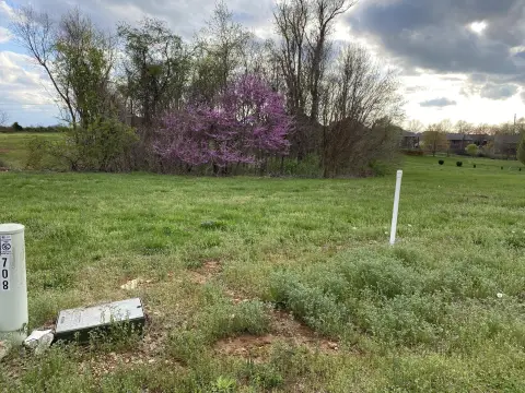 Residential Land in Bentwater, Nixa