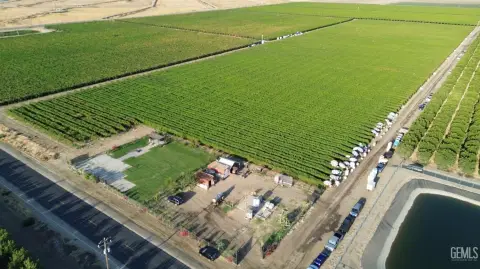 Established Table Grape Vineyard