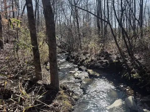 Secluded Land with Timber Potential