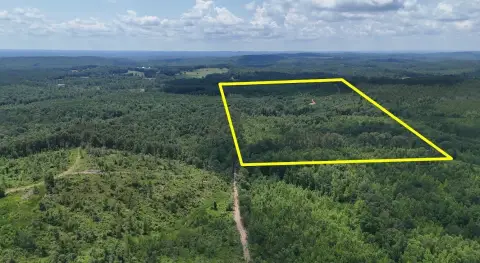 Hunting and Timber Land Tract