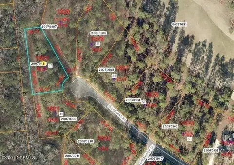 Residential Lot in Forest Creek