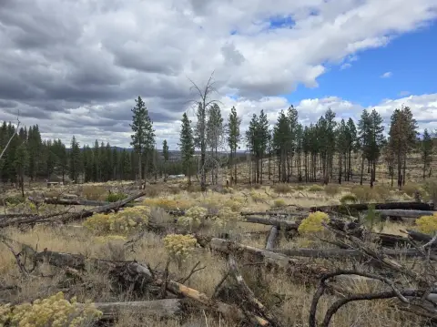 Secluded Buildable Land in Beatty