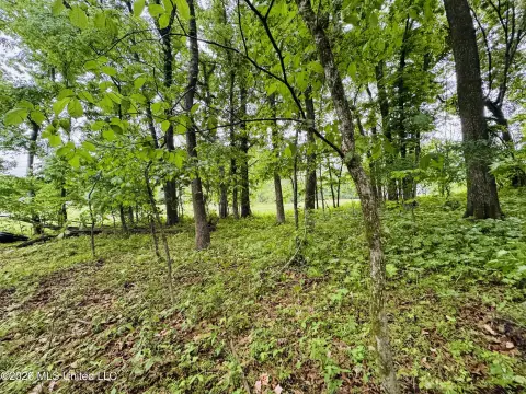 Residential Land in Huntington Estates