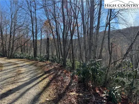Wooded Mountain Lot in Community