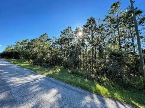 Homosassa Land in Sugarmill Woods
