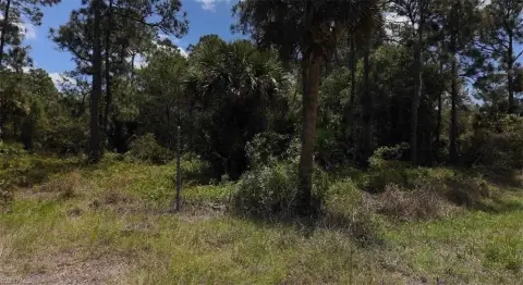 Spacious Clewiston Land Opportunity