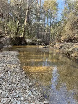 50 Acres Hunting Land, Brookhaven