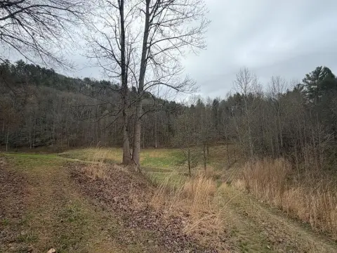 Blue Ridge Acreage For Sale