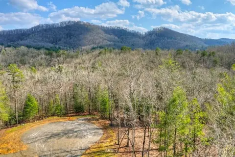 Mineral Bluff Vacant Mountain Homesite