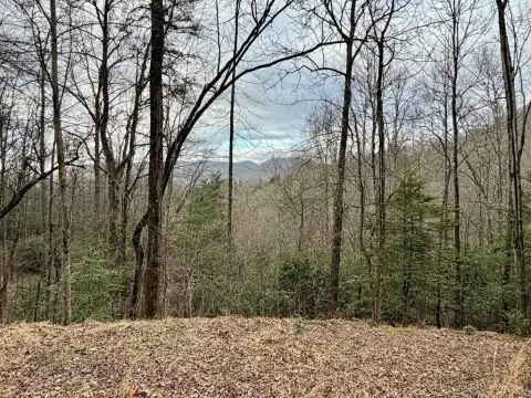 Hiawassee, GA Homesite in Highlands