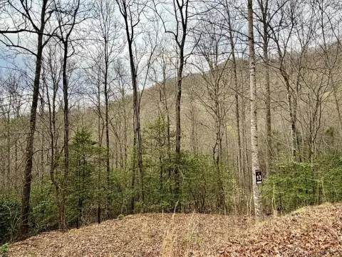 Hiawassee Vacant Lot with Views
