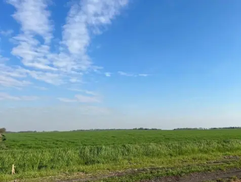 Waxahachie Development-Ready Land Tract