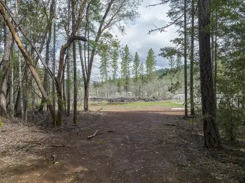 Serene 5-Acre Parcel