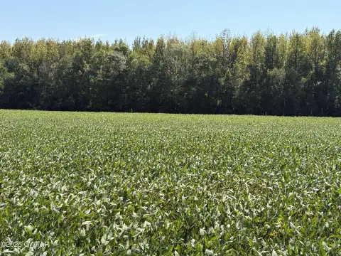 Agricultural Land With Utility Access