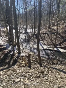 Sprawling Lot with Mountain Views