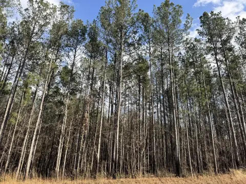 Sumrall Land Parcel For Sale