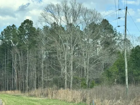 Unimproved Land in Sumrall School