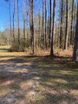 Heavily Wooded Land in Sumrall